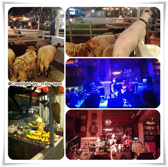 บรรยากาศภายในร้าน