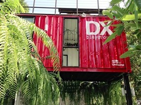 DX Playground