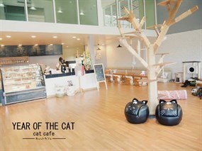 Year Of The Cat Cafe