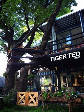 Tiger Ted Cafe