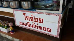 โกจ้อย