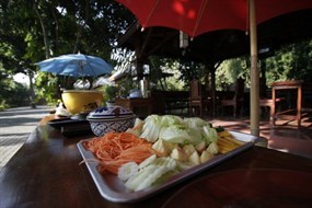 ร่มสัก