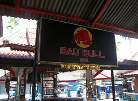 Bad Bull Bar
