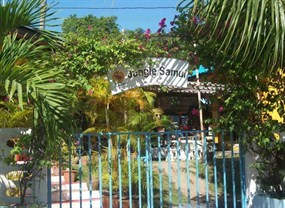 Jungle Samui