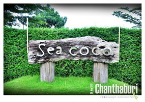 Sea Coco
