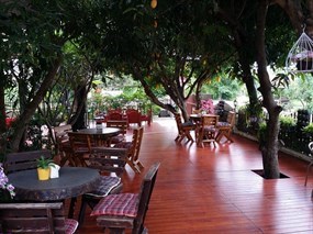 Mango Terrace