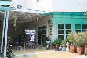 The Bear House