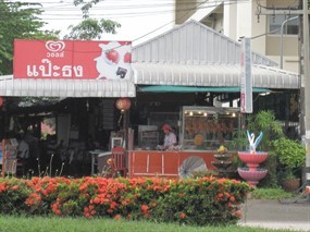 แป๊ะธง เป็ดย่าง