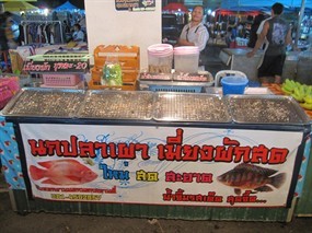 นกปลาเผา