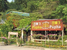 ภูผากาแฟสด