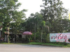 นมชมภู