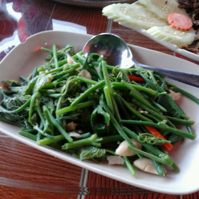 ผักหวานผัดน้ำมันหอย