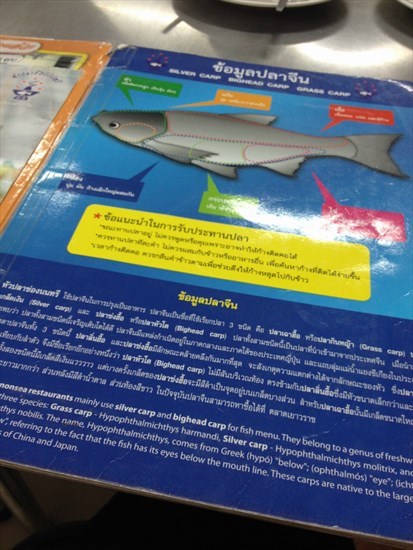 ในเมนู ให้ความรู้เรื่องปลาจีนด้วย
