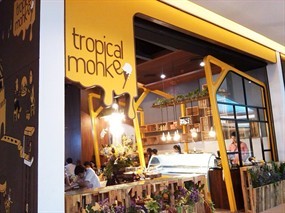Tropical Monkey