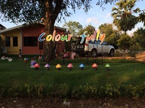 Colour Fully Coffee & Bar