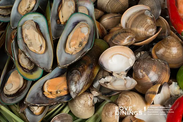 หอยแมลงภู่และหอยตลับ