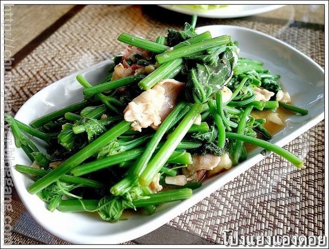 ยอดซาโยเต้สดๆ เอามาผัดเร็วๆ ยอดซาโยเต้ยังกรอบๆ ทานกับแฮมรมควันเค็มๆ เข้ากันจริงๆ