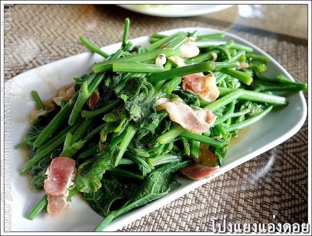 ยอดซาโยเต้สดๆ เอามาผัดเร็วๆ ยอดซาโยเต้ยังกรอบๆ ทานกับแฮมรมควันเค็มๆ เข้ากันจริงๆ