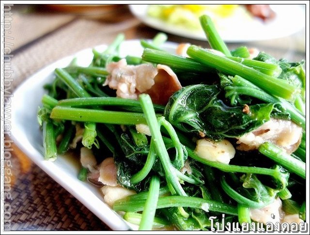 ยอดซาโยเต้สดๆ เอามาผัดเร็วๆ ยอดซาโยเต้ยังกรอบๆ ทานกับแฮมรมควันเค็มๆ เข้ากันจริงๆ