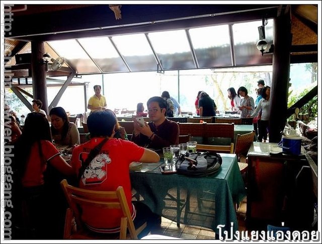 ร้านโป่งแยง   แอ่งดอย