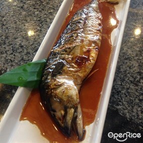 Mr.Sushi 