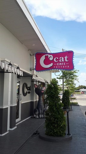 C Cat Cafe Pattaya