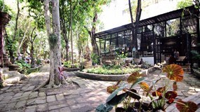 Clay Studio Coffee In The Garden