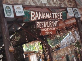 Banana Tree