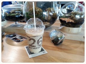 Blackyard (26 Bed & Coffee)