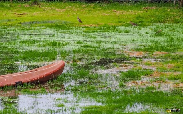 จริงแอบไปสั่งอาหารกับชาวคณะไว้แล้วครับแต่เห็นบรรยากาศวันนี้ดี๊ดีเลยขอเก็บภาพอีกสักหน่อย