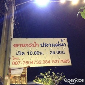 อาหารป่า ปลาแม่น้ำ