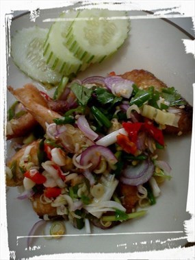 บ้านจานรองแก้ว With Ice Berry