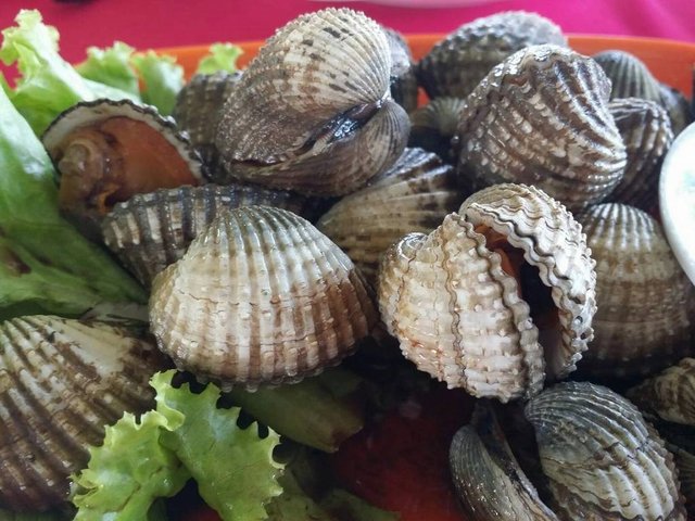 หอยแครงลวก