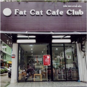 Fat Cat Cafe (แฟต แคท คาเฟ่)