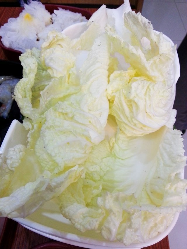 ผักกาดขาว