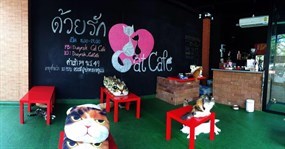 Duayrak Cat Cafe (ด้วยรัก)