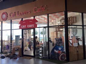 Cat Lovers Cafe