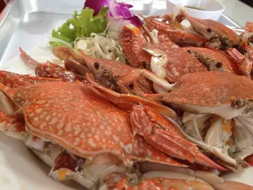 ปูม้านึ่ง