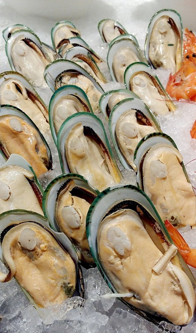 New Zealand Mussels