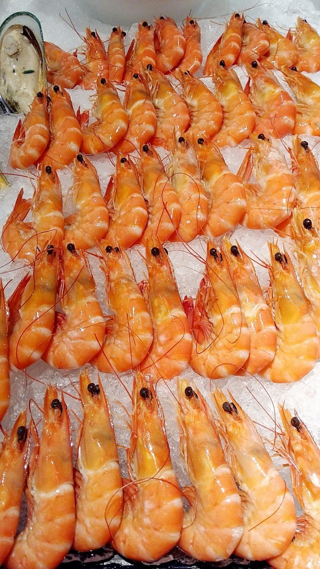 Shrimps