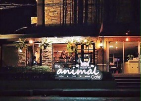 The Animal Cafe