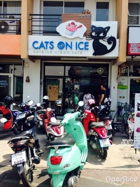 Cats On Ice Cafe