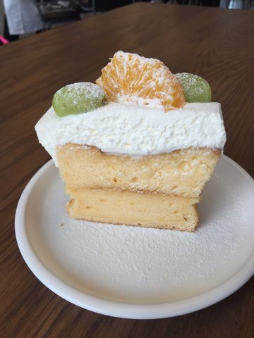 Sponge  cake  with  fresh  cream