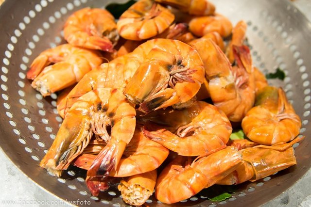 กุ้งลายเสือ