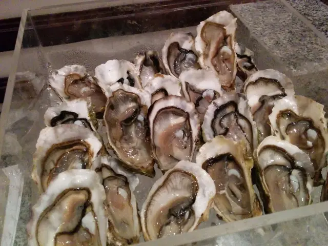 唔算好大隻  但都好新鮮