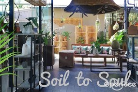 Soil to Soul Hua Hin