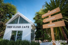Tree Cloud Cafe