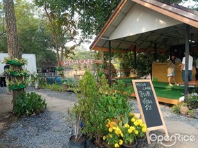 Mesa Cafe