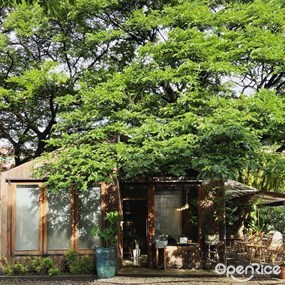 9th September Eat Drink Tree