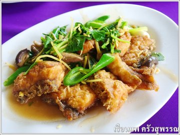 ปลาม้าเจี๋ยนขิง